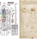 The Secret Meaning Behind Leonardo Da Vinci’s Vitruvian Man