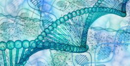 There is No Such Thing as “Junk” DNA