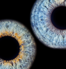 The Eyes are the Window to the Soul: An Intro to Iridology